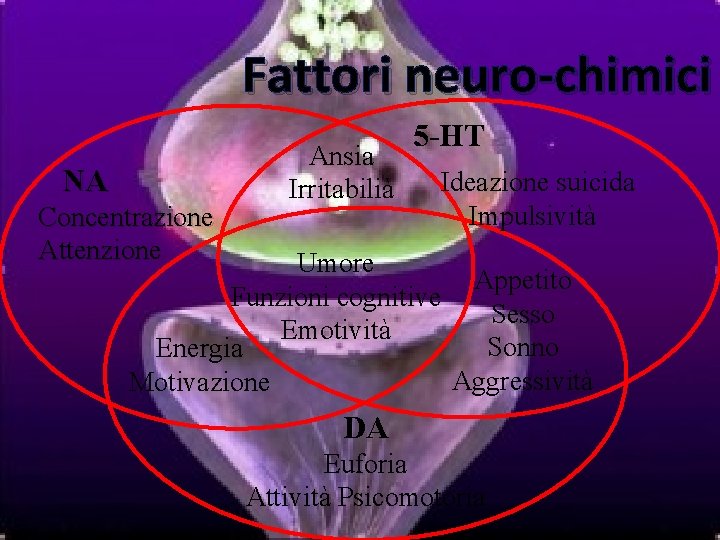 Fattori neuro-chimici NA Concentrazione Attenzione Ansia Irritabilià 5 -HT Ideazione suicida Impulsività Umore Appetito