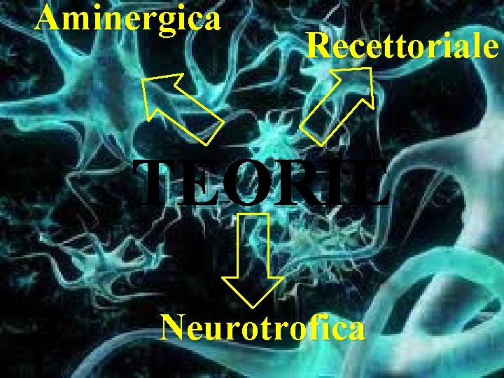Aminergica Recettoriale TEORIE Neurotrofica 