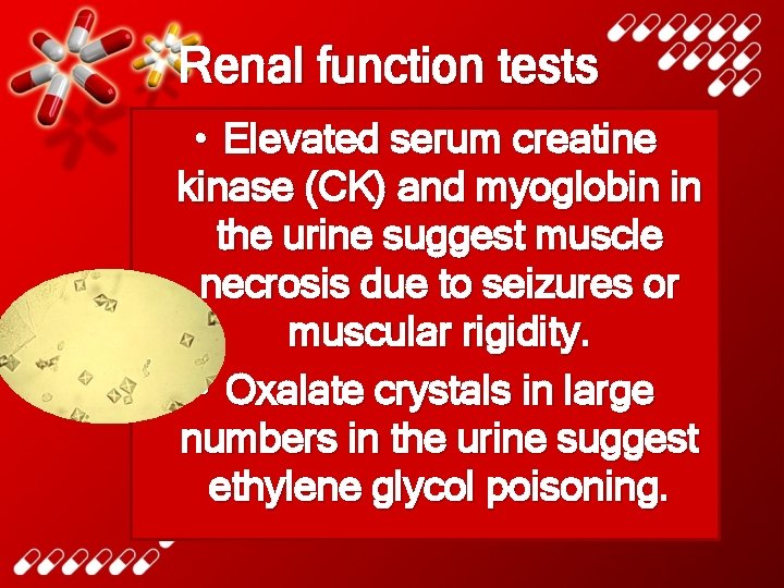 Renal function tests • Elevated serum creatine kinase (CK) and myoglobin in the urine