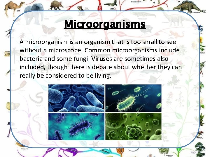 Microorganisms A microorganism is an organism that is too small to see without a