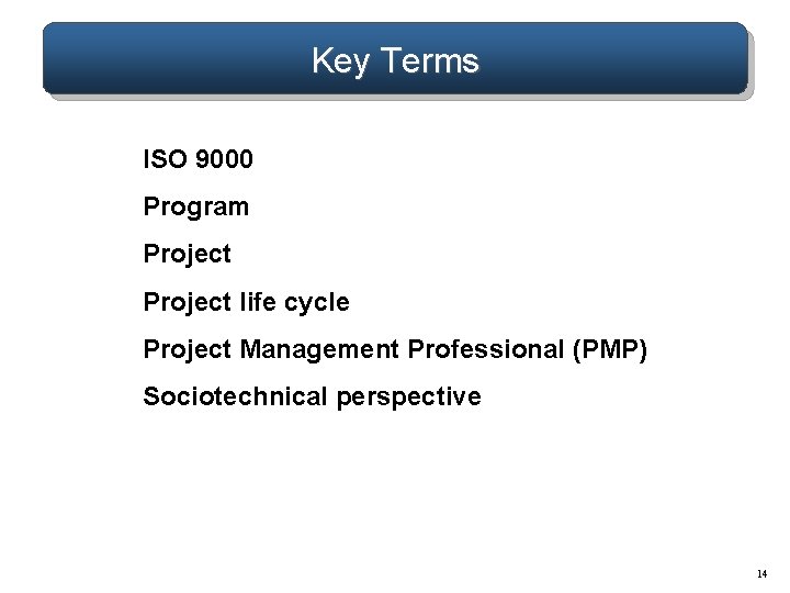 Key Terms ISO 9000 Program Project life cycle Project Management Professional (PMP) Sociotechnical perspective