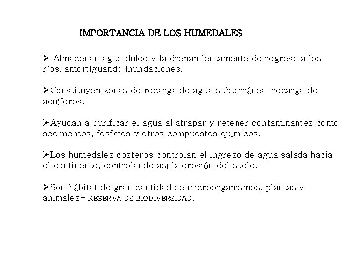 IMPORTANCIA DE LOS HUMEDALES Ø Almacenan agua dulce y la drenan lentamente de regreso