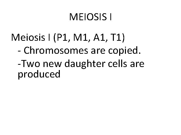 MEIOSIS I Meiosis I (P 1, M 1, A 1, T 1) - Chromosomes