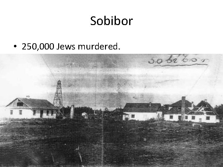 Sobibor • 250, 000 Jews murdered. 