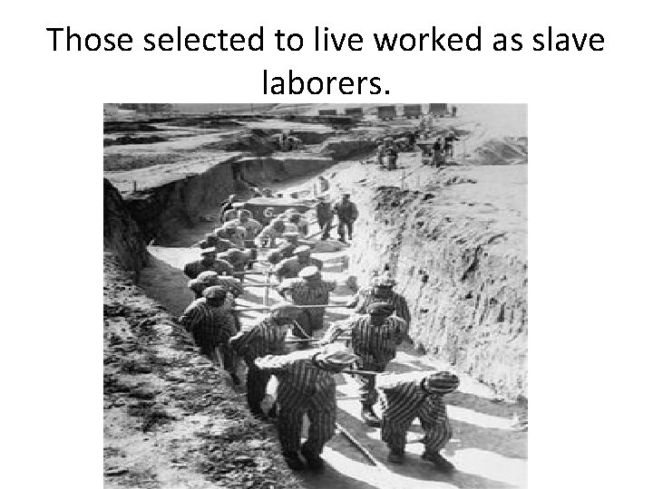 Those selected to live worked as slave laborers. 