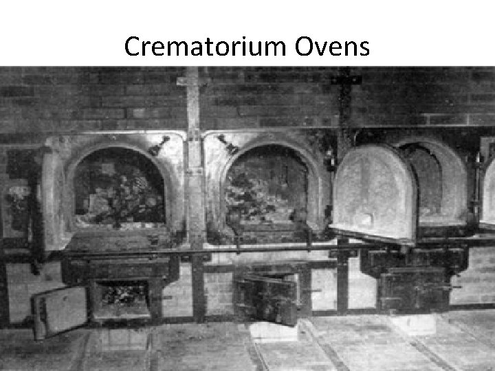 Crematorium Ovens 