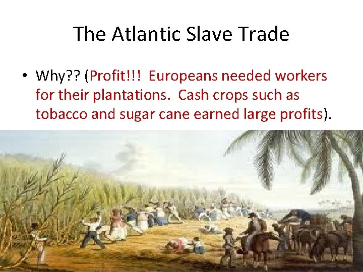 The Atlantic Slave Trade • Why? ? (Profit!!! Europeans needed workers for their plantations.