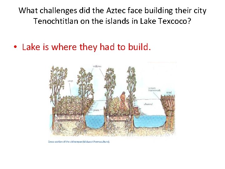What challenges did the Aztec face building their city Tenochtitlan on the islands in
