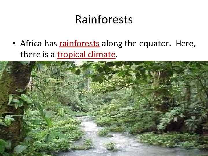 Rainforests • Africa has rainforests along the equator. Here, there is a tropical climate.
