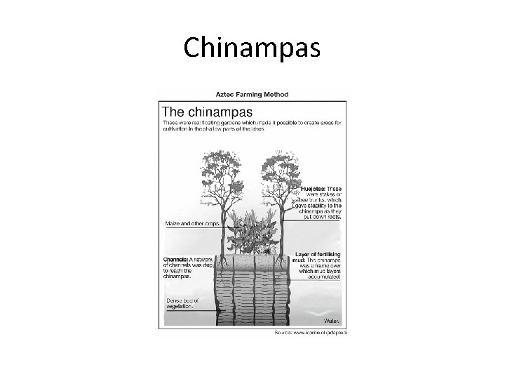 Chinampas 