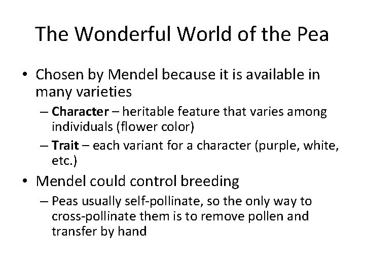 The Wonderful World of the Pea • Chosen by Mendel because it is available
