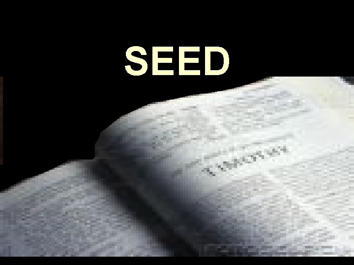 SEED 