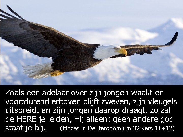 Zoals een adelaar over zijn jongen waakt en voortdurend erboven blijft zweven, zijn vleugels