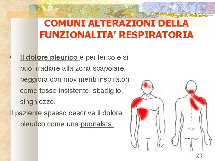 COMUNI ALTERAZIONI DELLA FUNZIONALITA’ RESPIRATORIA • Il dolore pleurico è periferico e si può