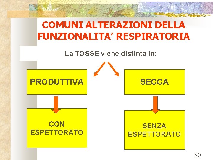 COMUNI ALTERAZIONI DELLA FUNZIONALITA’ RESPIRATORIA La TOSSE viene distinta in: PRODUTTIVA SECCA CON ESPETTORATO