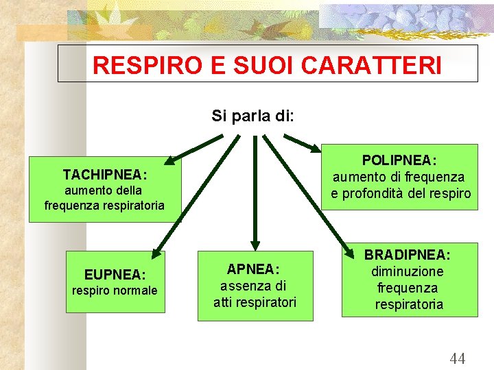 RESPIRO E SUOI CARATTERI Si parla di: POLIPNEA: aumento di frequenza e profondità del