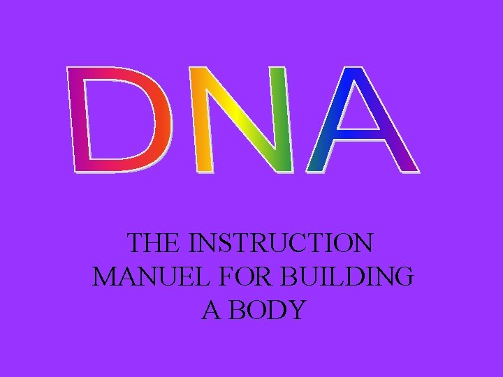 THE INSTRUCTION MANUEL FOR BUILDING A BODY 