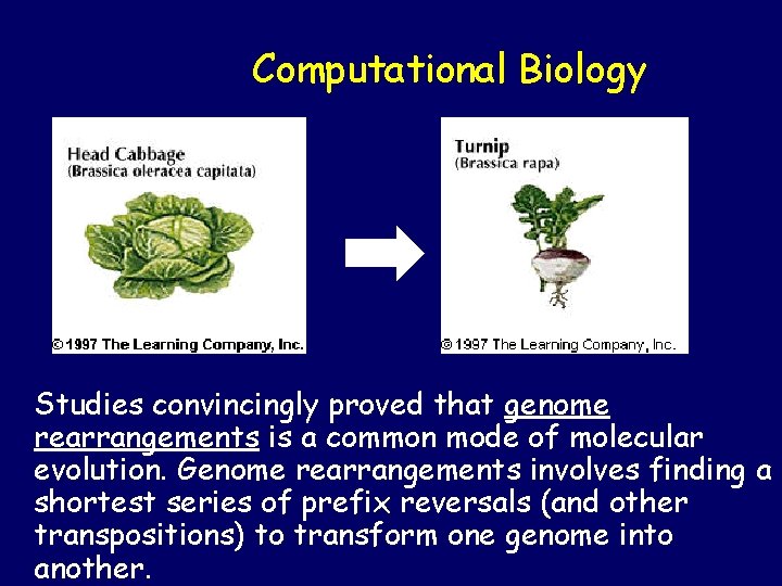 Computational Biology Studies convincingly proved that genome rearrangements is a common mode of molecular