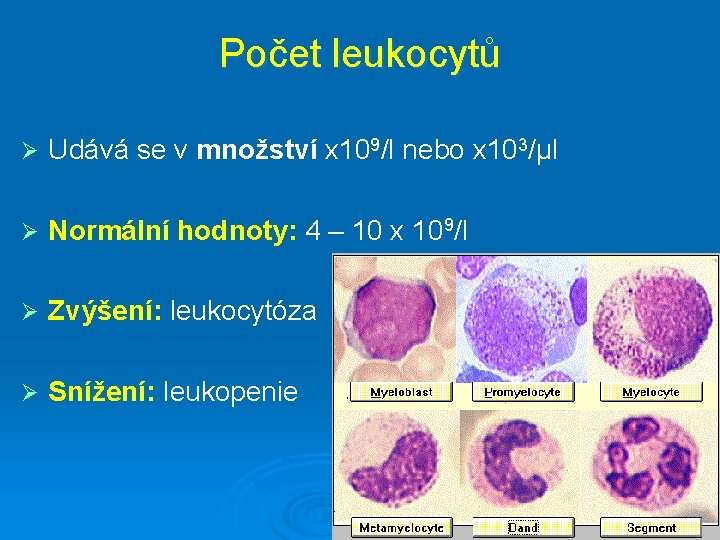 Počet leukocytů Ø Udává se v množství x 109/l nebo x 103/μl Ø Normální