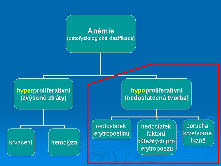 Anémie (patofyziologická klasifikace) hyperproliferativní (zvýšené ztráty) hypoproliferativní (nedostatečná tvorba) nedostatek erytropoetinu krvácení hemolýza nedostatek
