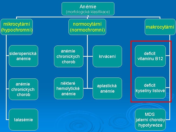 Anémie (morfologická klasifikace) mikrocytární (hypochromní) normocytární (normochromní) makrocytární sideropenická anémie chronických chorob krvácení deficit