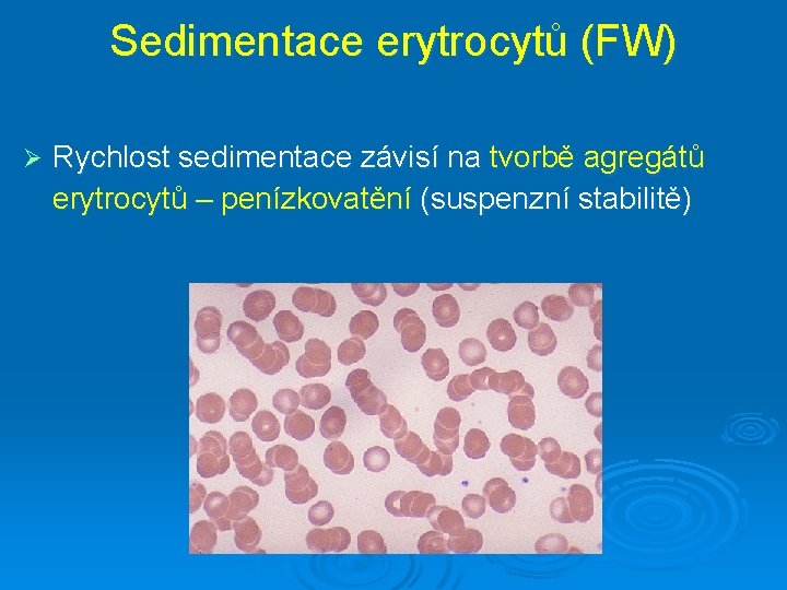 Sedimentace erytrocytů (FW) Ø Rychlost sedimentace závisí na tvorbě agregátů erytrocytů – penízkovatění (suspenzní
