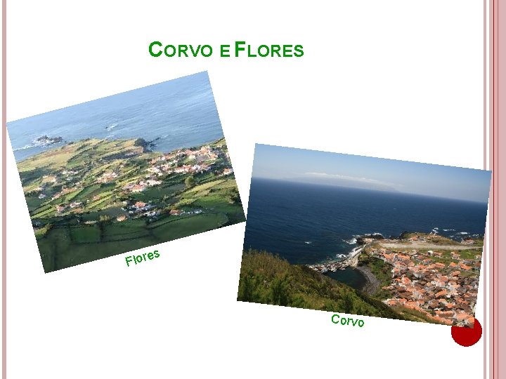 CORVO E FLORES s Flore Corvo 