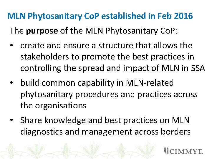 MLN Phytosanitary Co. P established in Feb 2016 The purpose of the MLN Phytosanitary