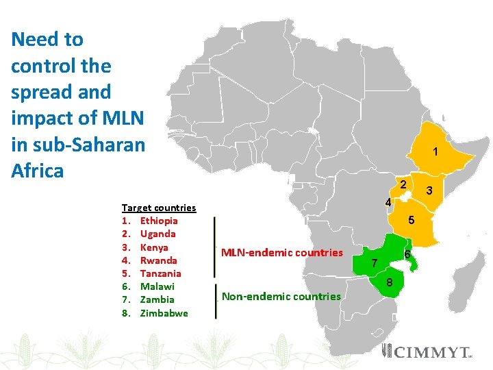 Need to control the spread and impact of MLN in sub-Saharan Africa Target countries