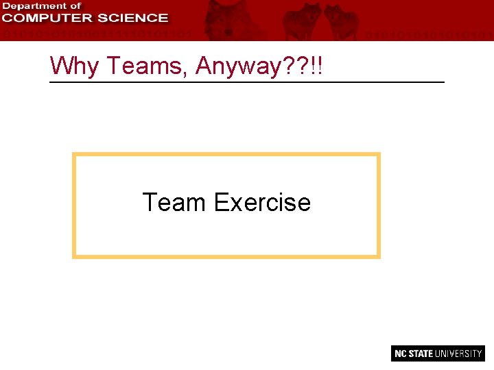 Why Teams, Anyway? ? !! Team Exercise 
