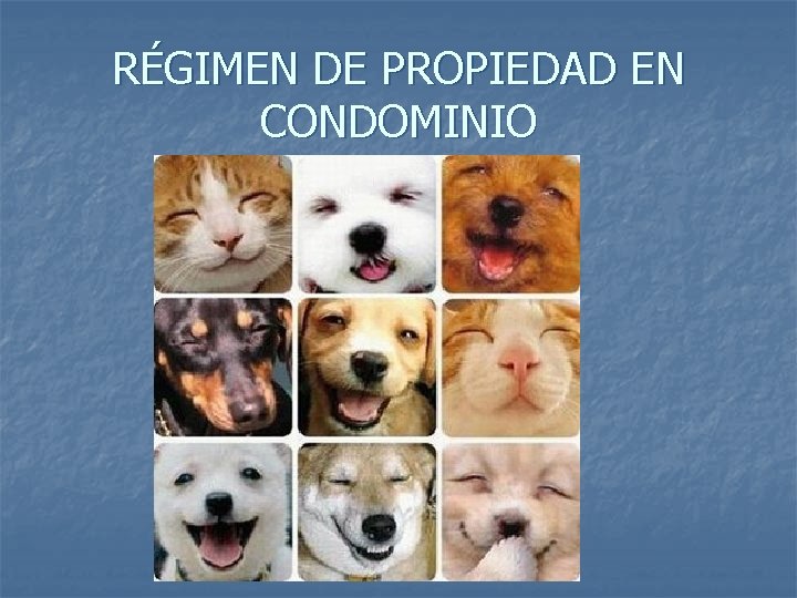 RÉGIMEN DE PROPIEDAD EN CONDOMINIO 