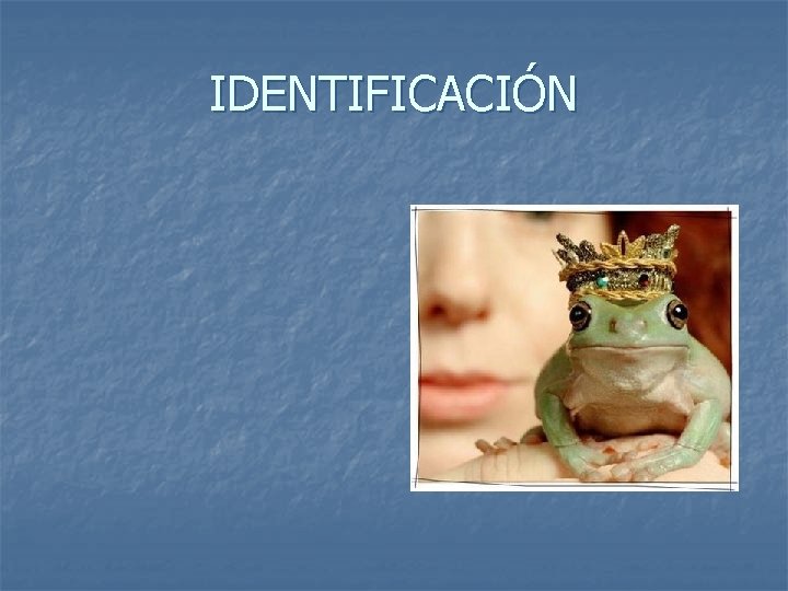 IDENTIFICACIÓN 