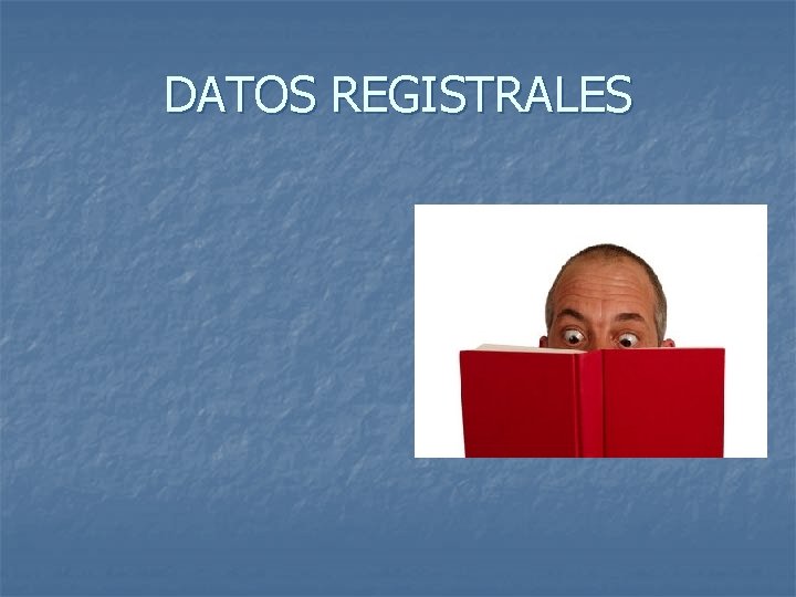 DATOS REGISTRALES 