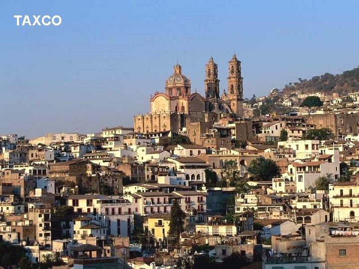 TAXCO 