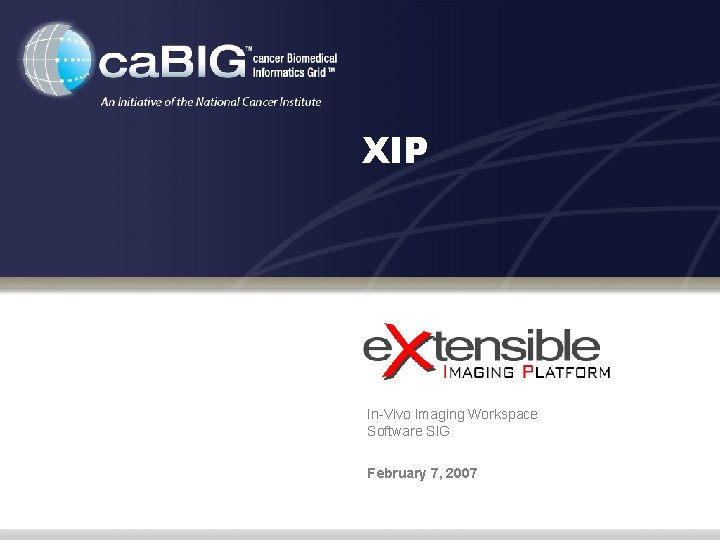 XIP In-Vivo Imaging Workspace Software SIG February 7, 2007 