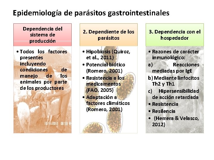 Epidemiología de parásitos gastrointestinales Dependencia del sistema de producción • Todos los factores presentes