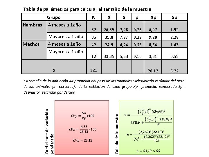 Tabla de parámetros para calcular el tamaño de la muestra Grupo Hembras 4 meses