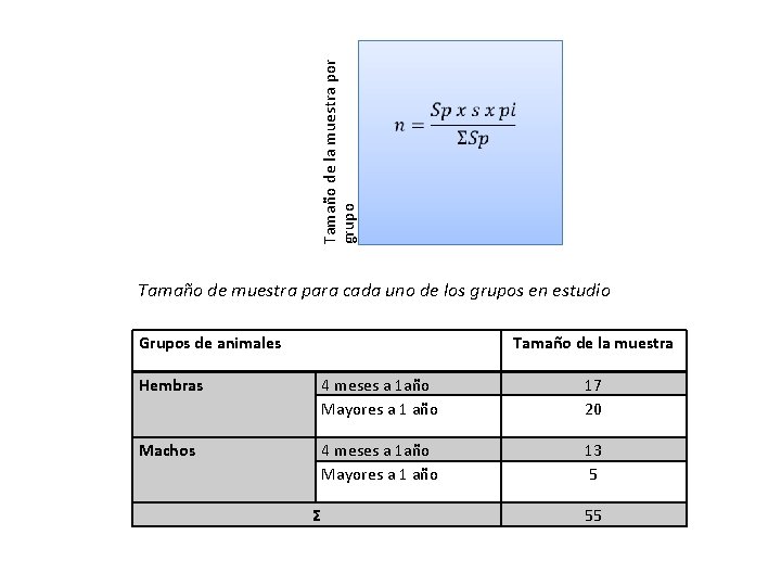 Tamaño de la muestra por grupo Tamaño de muestra para cada uno de los