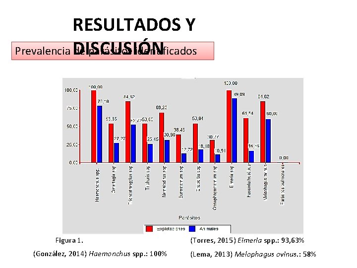 RESULTADOS Y Prevalencia DISCUSIÓN de parásitos identificados Figura 1. (González, 2014) Haemonchus spp. :