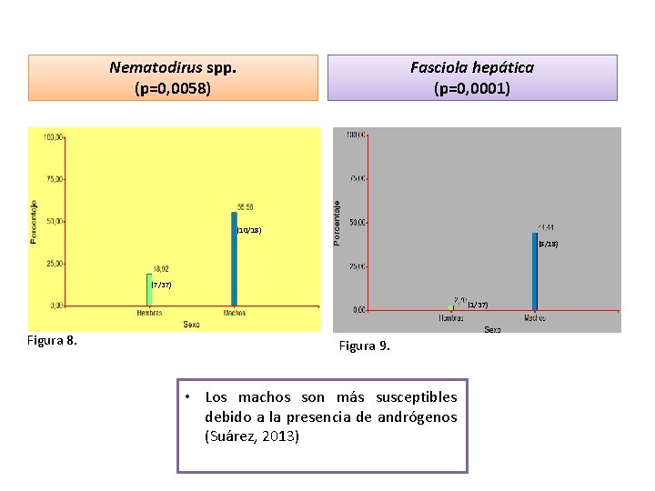Nematodirus spp. (p=0, 0058) Fasciola hepática (p=0, 0001) (10/18) (8/18) (7/37) (1/37) Figura 8.
