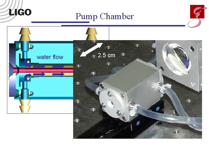Pump Chamber water flow 2. 5 cm 