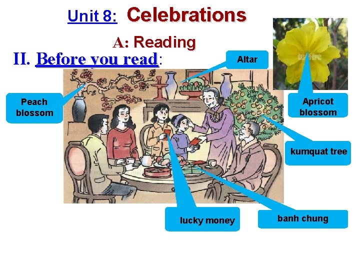 Unit 8: Celebrations A: Reading II. Before you read: read Altar Apricot blossom Peach