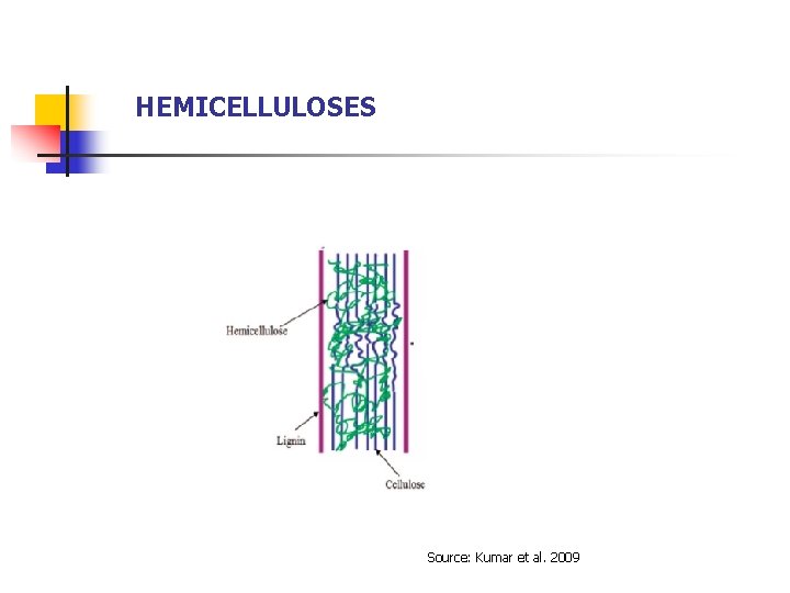 HEMICELLULOSES Source: Kumar et al. 2009 