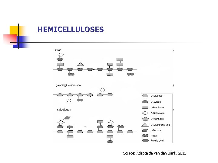 HEMICELLULOSES Source: Adapté de van den Brink, 2011 