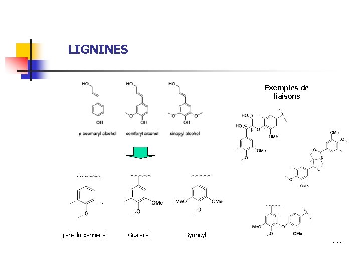 LIGNINES Exemples de liaisons ρ-hydroxyphenyl Guaiacyl Syringyl … 