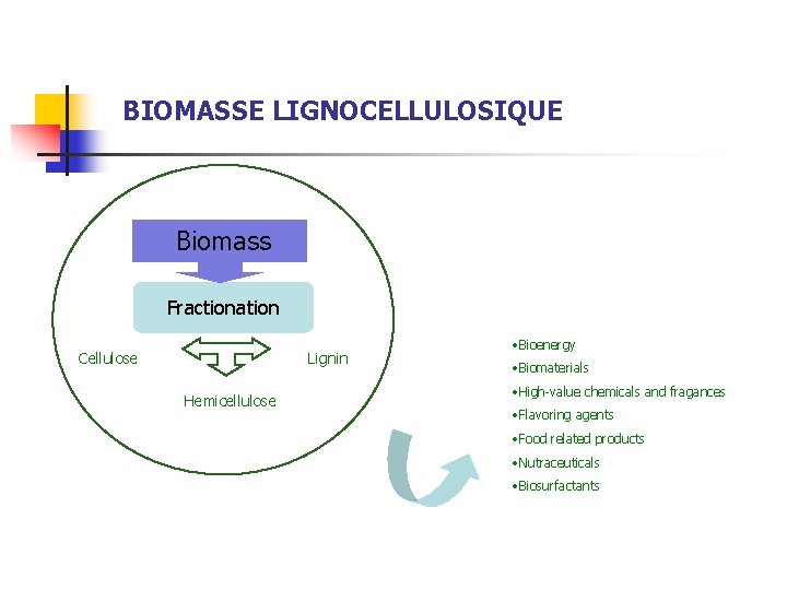 BIOMASSE LIGNOCELLULOSIQUE Biomass Fractionation Cellulose Lignin Hemicellulose • Bioenergy • Biomaterials • High-value chemicals