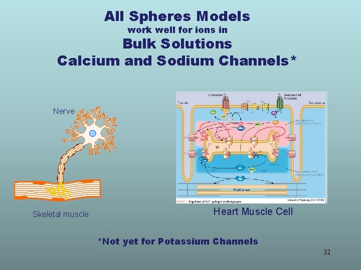 All Spheres Models work well for ions in Bulk Solutions Calcium and Sodium Channels*