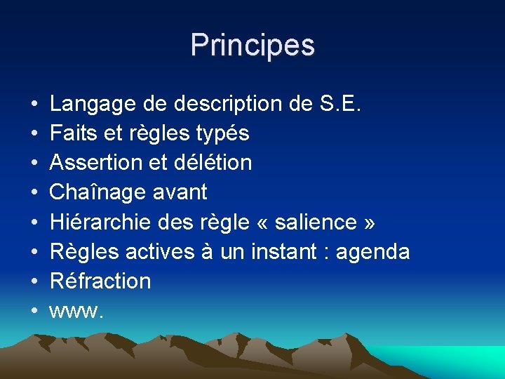 Principes • • Langage de description de S. E. Faits et règles typés Assertion