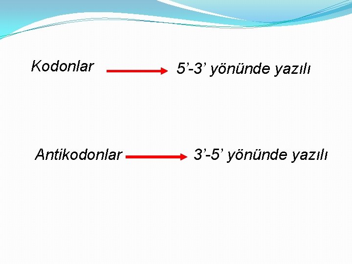 Kodonlar Antikodonlar 5’-3’ yönünde yazılı 3’-5’ yönünde yazılı 