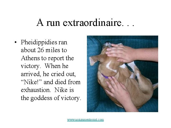 A run extraordinaire. . . • Pheidippidies ran about 26 miles to Athens to